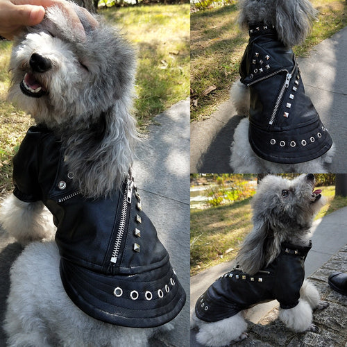 Cool Leather Jacket - MacryDog