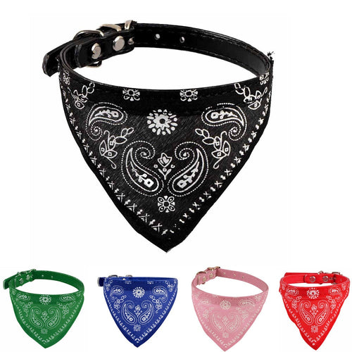 MACRY Bandana & Collar - MacryDog